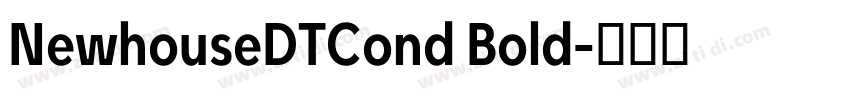 NewhouseDTCond Bold字体转换